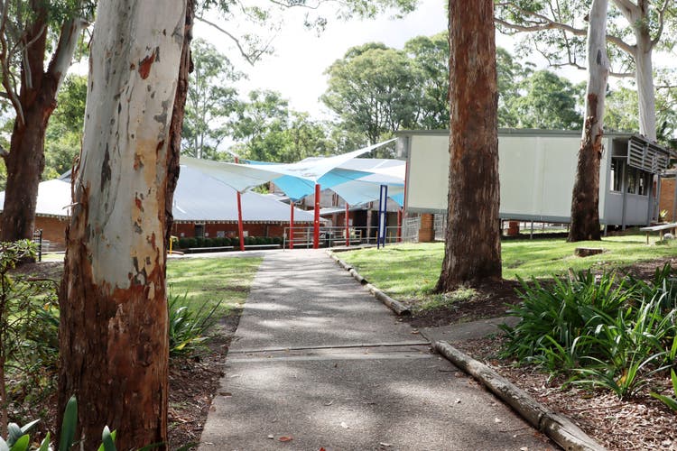 A view of Normanhurst Public School through the trees.